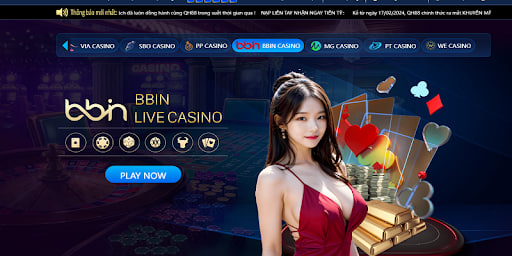 kham-pha-mục bbn-live-tai-casino-qh88
