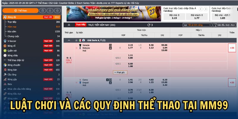Luật chơi và các quy định thể thao tại MM99